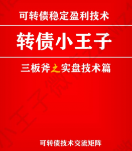 转债小王子中级实盘技术版-盘口资讯