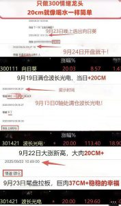 上新【悟道】-盘口资讯