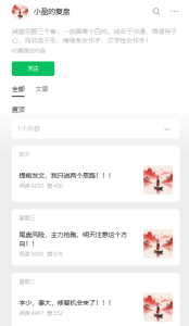 上新 小盈的复盘-盘口资讯